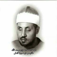 الشيخ محمد عمران مقطع فوق الوصف واكثر من رائع من سورة النمل