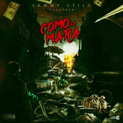 como la mara-sammy stilo