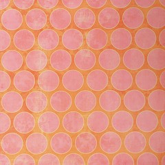 Paper Wings for Robin