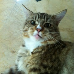 Early Signs Of Bad Posture (prod. by Nikopol)