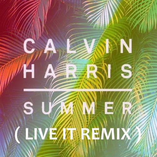 calvin harris summer live