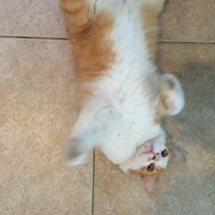 Biasa Saja (Child's Play Cover)