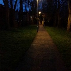 The sun will rise again