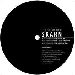 Federico Amoroso - Skarn (Plukkk remix) [12" Vinyl Only]