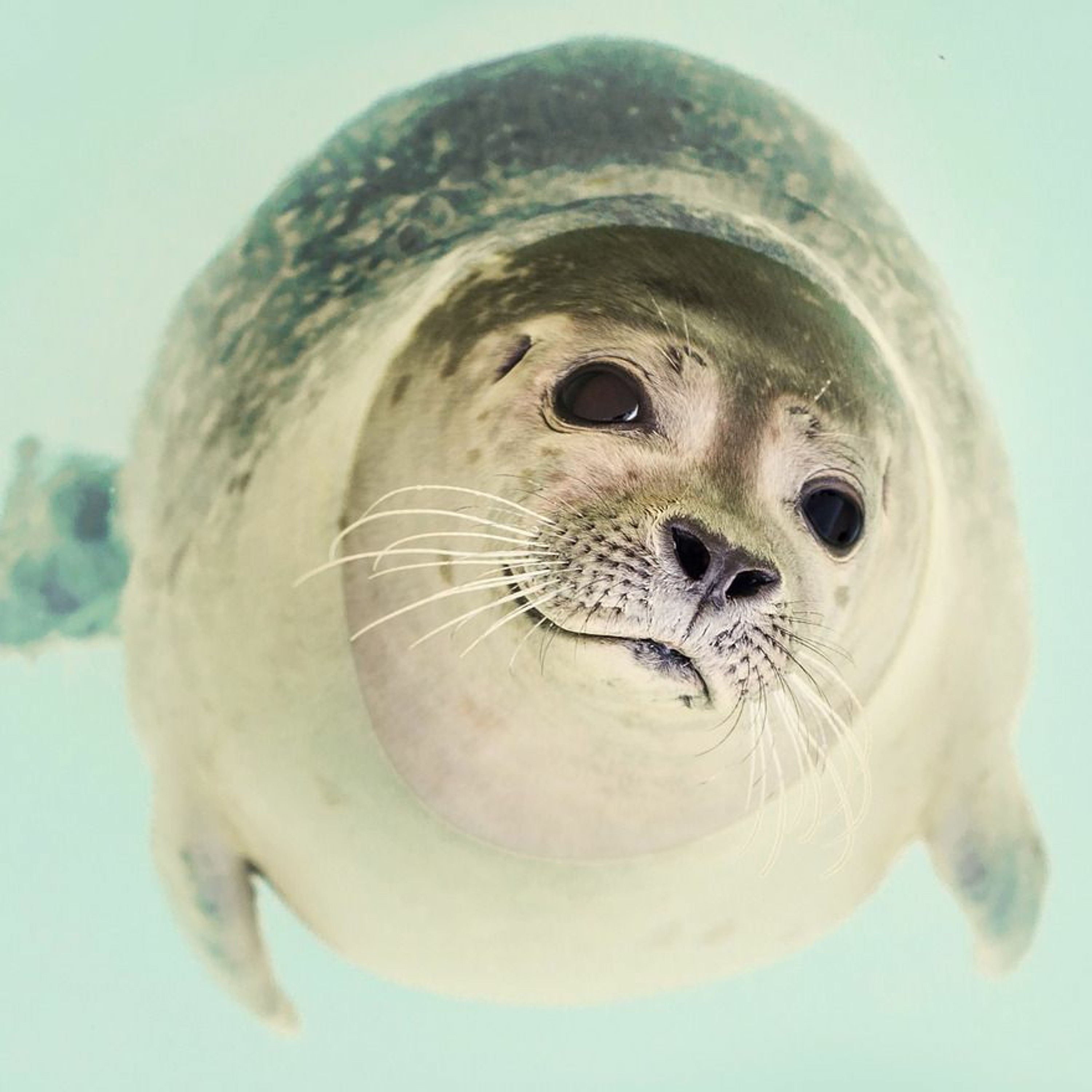 1630 | Brewery helps stop choking sea creatures • Power shrinks trash