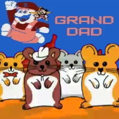 7 HAMSTER DAD