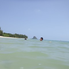 West Coast Grove  (Numusik & Fibonacch)