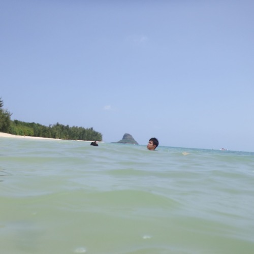 West Coast Grove  (Numusik & Fibonacch)