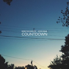 Countdown VIP (feat. Joyce Zhang)