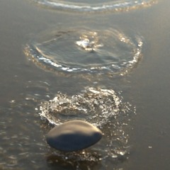 skipping rocks w/ theo