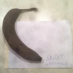 Echoes In the Chamber