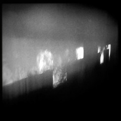 chromotrope - chinampa