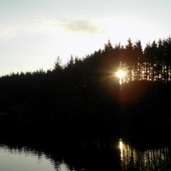 Preoccupied - Alternative Funk Music (Free to Download & Reuse)