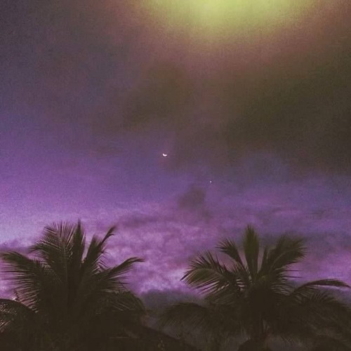 ｐｕｒｐｌｅ ｄａｗｎ