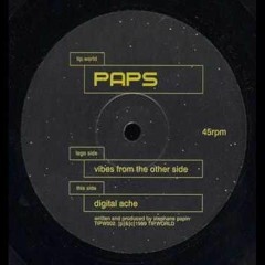 Paps - Vibes From The Other Side