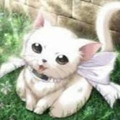 NightCore The Animal