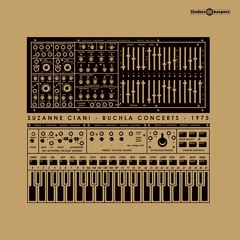 Suzanne Ciani - Concert At Phil Niblock's Loft