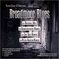 Robyn Chaos & Fortitude - Broadmoor Blues [ORIGINAL MIX CLIP]