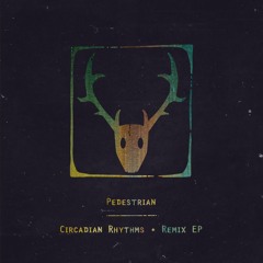 Pedestrian - JNT Ft. Maribou State (Ross From Friends Remix)