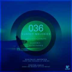 Sunset Melodies 036 - Wachterberg Mix