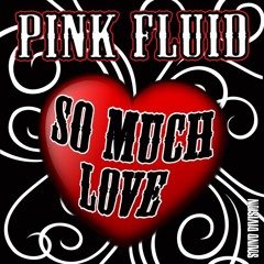 Pink Fluid - So Much Love (Crazibiza Remix) [Sound Division]