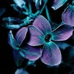 PAC3FAC3 VS LINKEN PARK - Breaking The Habbit.mp3