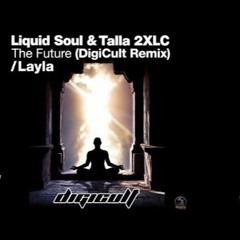 Liquid Soul & ZYRUS 7 (Talla 2XLC) - The Future (DigiCult Rmx) + free download