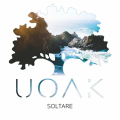 UOAK - Soltare (Original Mix)