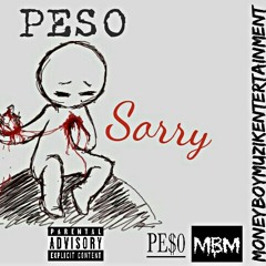 Never Sorry FreeStyle