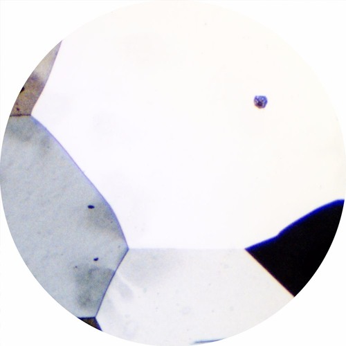 PREMIERE : Kemback - For You Today [Omena Records]