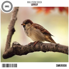 Wallyson Sousa - Lovely [Smoke Exclusive]