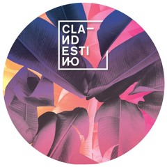 PRÉMIÈRE: Bird Of Paradise - Boys Of Brass (Clandestino)