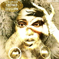 Erotnas - 33 1/3 RPM