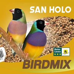 birdmix [sponsored by bitbird & Run The Trap]