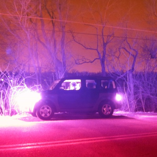 Prelude To Fungal Inoculation