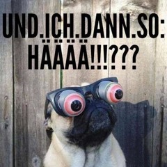 257ers - Springt (Brain Bug Vs ThomasKa - Hardtekk -Remix)