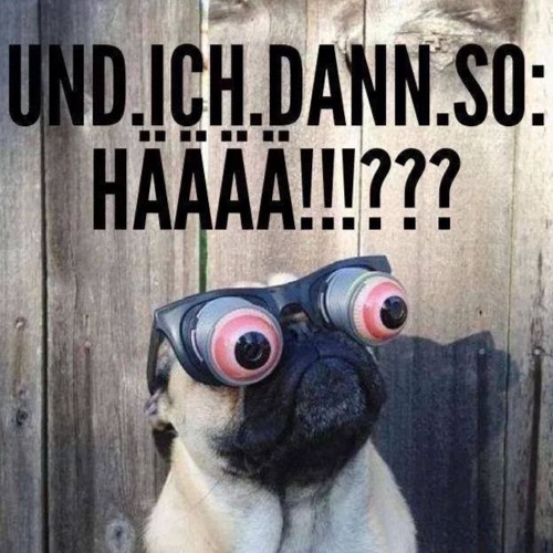 257ers - Springt (Brain Bug Vs ThomasKa - Hardtekk -Remix)