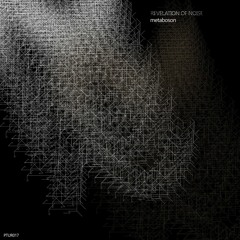Revelation Of Noise-Metaboson (Original Mix)