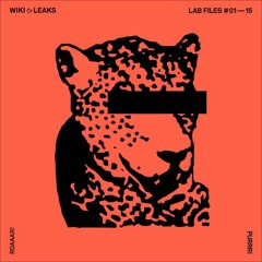 Tiger&Woods Lab File #05