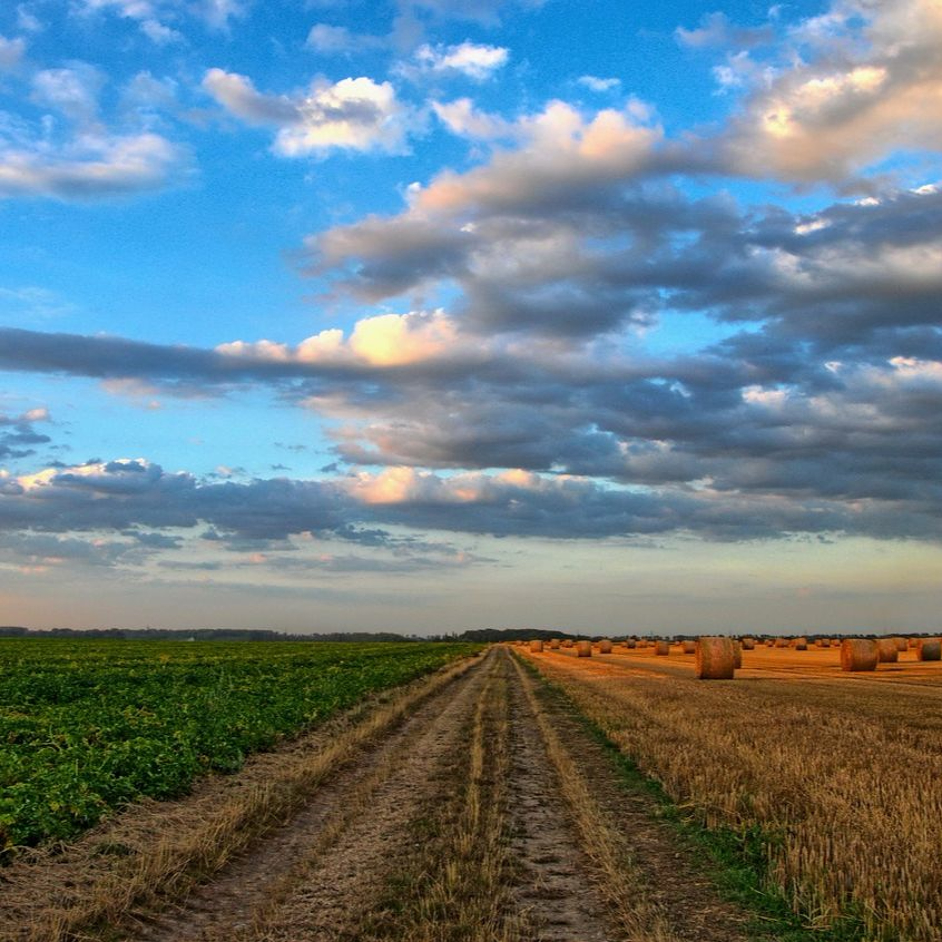1608 | International projects receive $13mil to power up agriculture