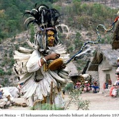 Carl Lumholtz, Canto Chamánico 1898