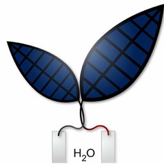 Melding Biology and Chemistry in a Bionic Leaf