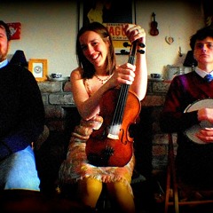 The Peacock's Feathers