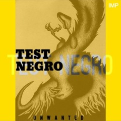 Test Negro (Prod. Tømm²)