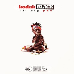 Kodak Black - Vibin In This Bih ft. Gucci Mane (DigitalDripped.com)