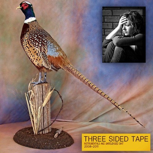 Lil Ugly Mane - Shawn Kemp - TORN//FOLDING PERSON (THREE SIDED TAPE VOLUME TWO) (S2.7)