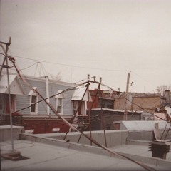 We're All Tryin, We're All Dyin