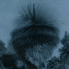 PREPARATIONS ( #043)