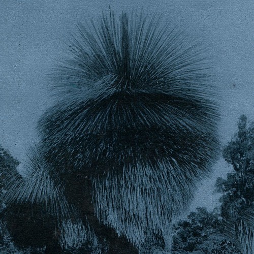 PREPARATIONS ( #043)