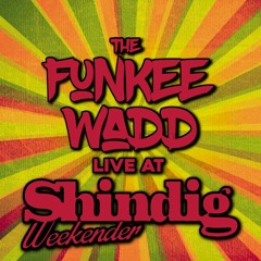 Live At Shindig Weekender 2016